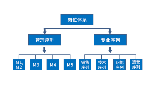 员工发展